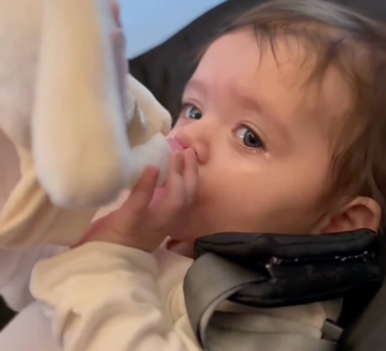 The power of mom's scent
